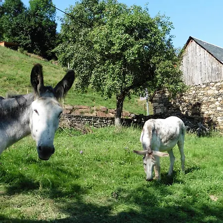 Vue Panoramique Daire