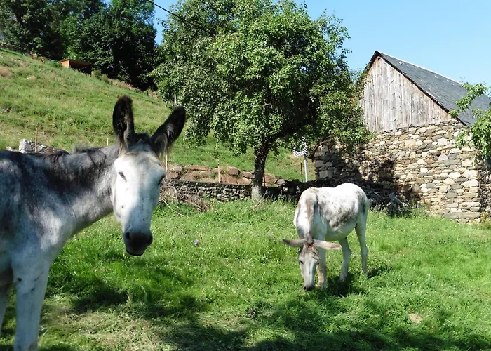Vue Panoramique Apartament
